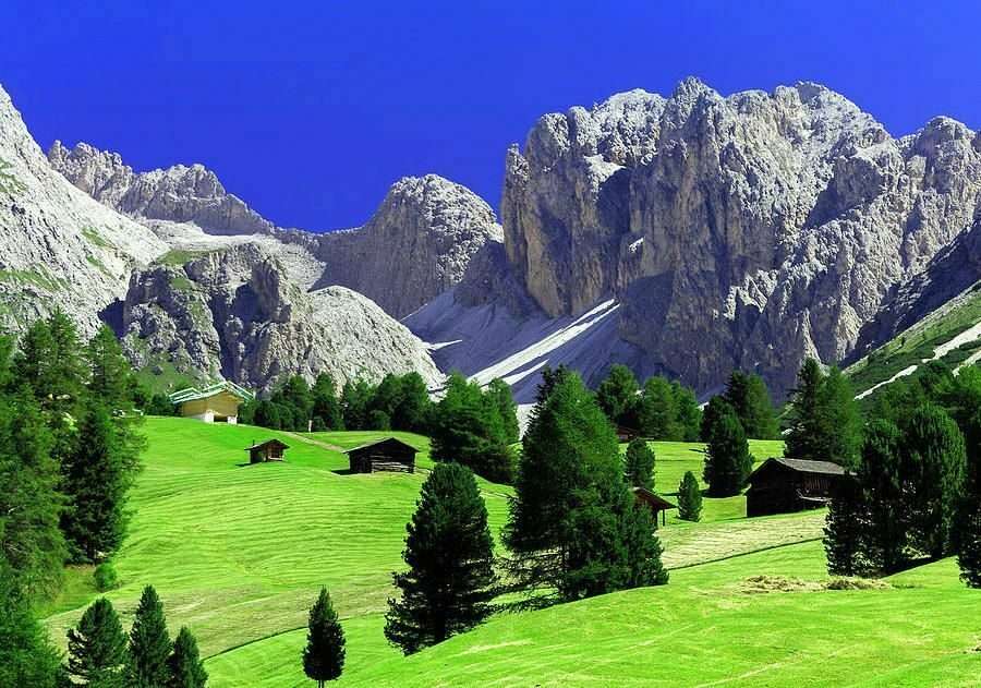 a-lush-green-valley-with-trees-and-the-grey-alps-in-the-backgroud-international-teaching-experience-in-italy